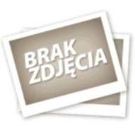 Uszczelka rury egr - brak_zdjecia[6].jpg
